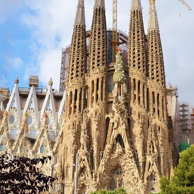 Barcelona: Sagrada Familia Fast Track Tour with Tower Option