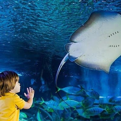 SEA LIFE Manchester Admission Ticket