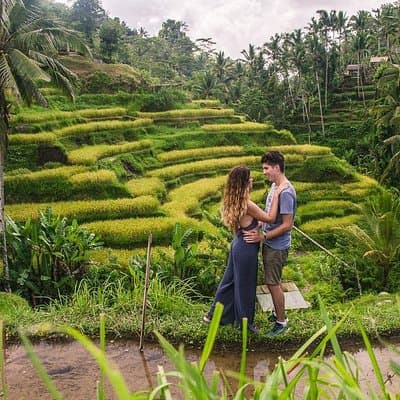 Ubud City Tour II: Monkey Forest, Palace, Art Market, and Rice Terrace