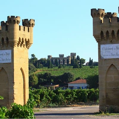 Châteauneuf du Pape Wine Day Tasting Tour including Lunch from Avignon