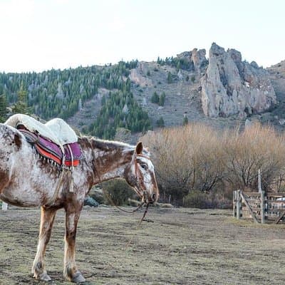 La Fragua Horseback Riding