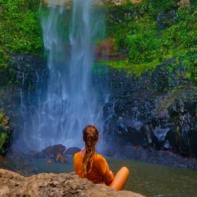 Private Rainforest & Wildlife Tour - Build Your Own Experience