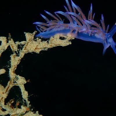 Nima Diving Center, Naxos, Greece