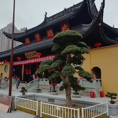 Shanghai Private Cultural Tour of Former French Concession and the Bund