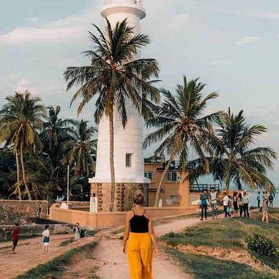 Southern Sri Lanka Sightseeing Day Trip From Colombo & Negombo