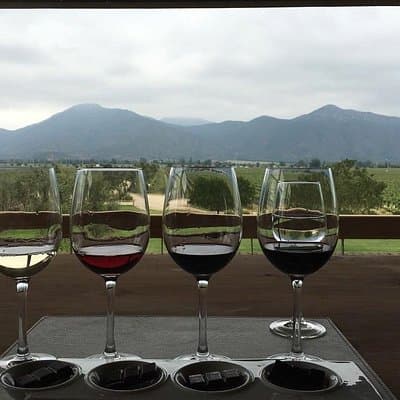Private Wine Tour in Valparaiso