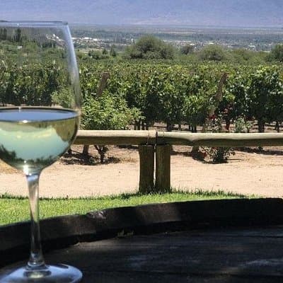 San Juan South Wine Route – Half Day Wine Experience