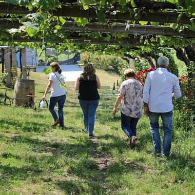 Guided tour of Bodegas Granbazán