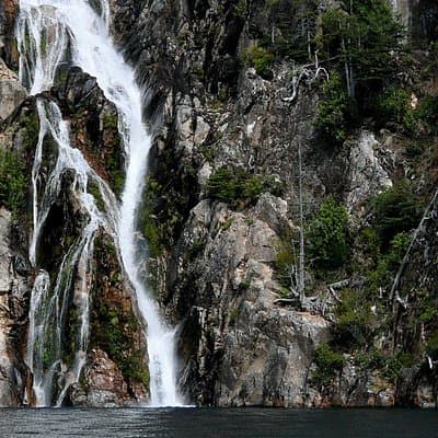 Kayaking in Brazo Tristeza - Full Day Tour in Private Service
