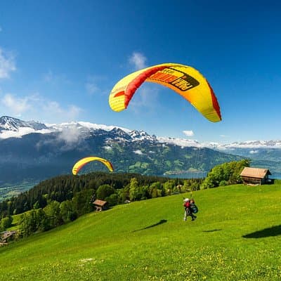 Tandem Paragliding Experience from Interlaken