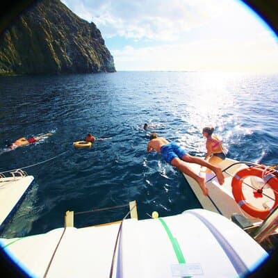 Whale watching & listening Eco-Catamaran Tour with Snacks &Drinks