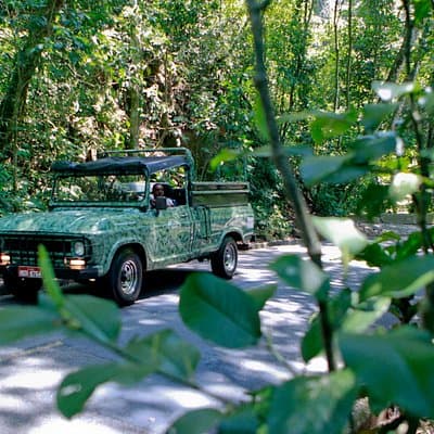 Rio : Half-Day Jeep Tour at Tijuca Forest