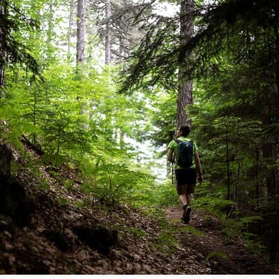 Private Mount Olympus Experience: Myths & Hidden Places