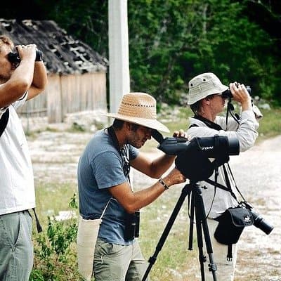 Birdwatching in Sian Ka´an Muyil from Tulum - Shared Group Tour