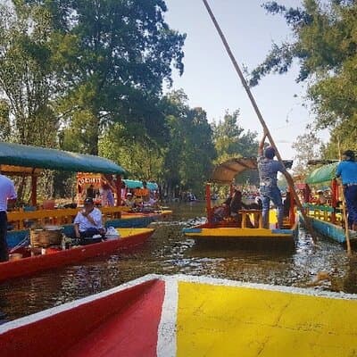 Private City Tour in Frida Kahlo, Coyoacan, and Xochimilco