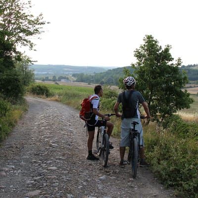 Small Group E-Bike Chianti Tour with farm lunch from Siena