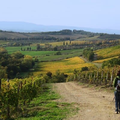 Tuscany Hiking Tour from Siena Including Wine Tasting