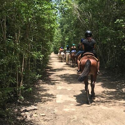 Horseback Riding plus ATV, Cenote, Ziplines, and Lunch