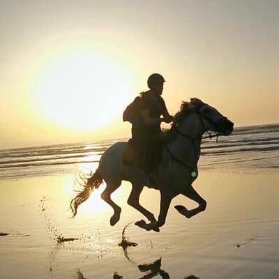 Horse riding at sunset for 2 hours