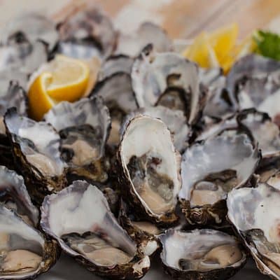 Bruny Island Traveler - Dégustation gastronomique et excursion d'une journée au départ de Hobart
