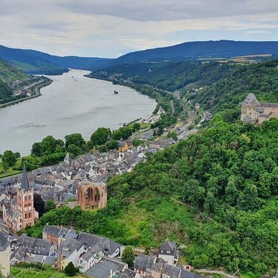 Private day trip to the Romantic Rhine Valley with river cruise and wine tasting