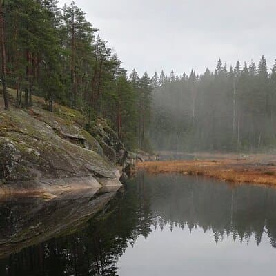 Half-Day Nature Adventure to Nuuksio National Park from Helsinki