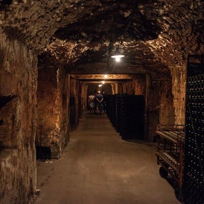 Reims afternoon tour Champagne and family growers