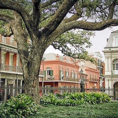 New Orleans Private Custom City Tour with St. Louis Cemetery No 3