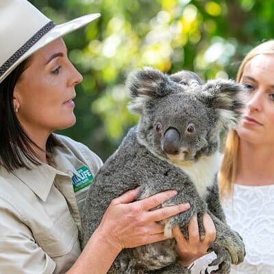 Currumbin Wildlife Sanctuary General Entry Ticket