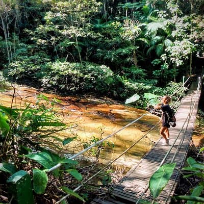 Adventure & History at Tijuca Forest (small group or private)