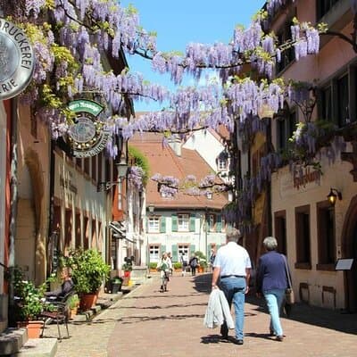 France, Germany and Switzerland Full Day Tour from Colmar