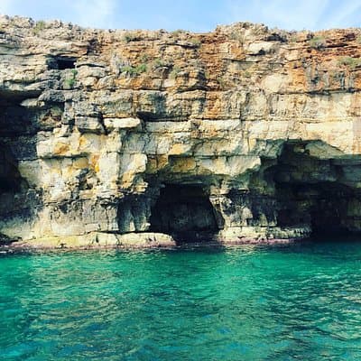 Polignano a Mare boat tour emotions, caves, diving and appetizers