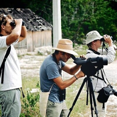 Private Birdwatching Tour in Sian Ka'an Muyil