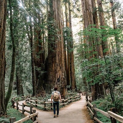 San Francisco, Muir Woods, Sausalito and Optional Alcatraz Tour