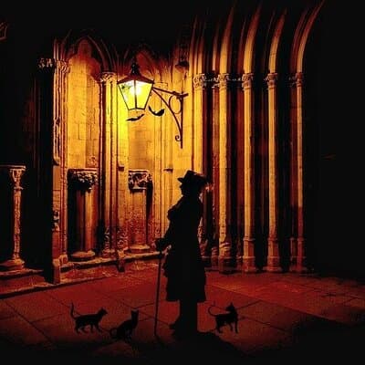 Shadows of York: Ghost Walk and Horrible History.