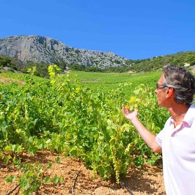 Twice the Wine - Two wineries half day tour, with delicacies