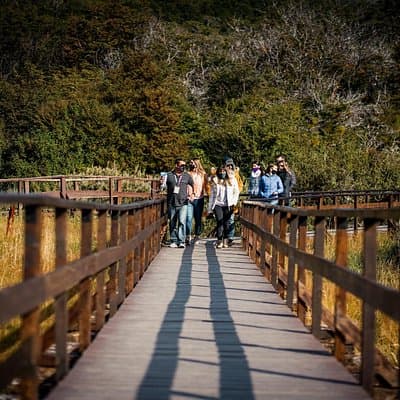 Half-Day Tierra del Fuego National Park