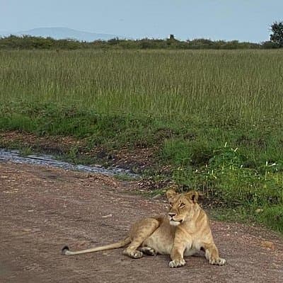 Nairobi national park and Giraffe center