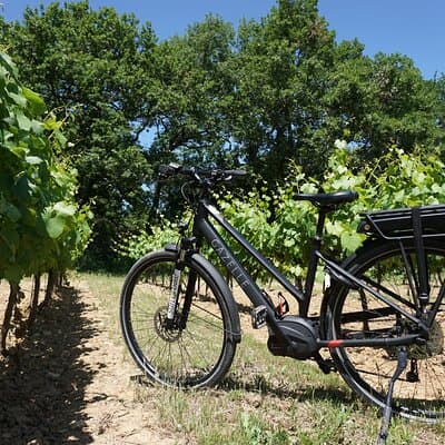 Full day E-Bike rental in the Luberon
