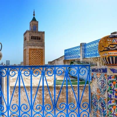 Half-Day Bardo Museum and Tunis Medina Tour with Licensed Guide