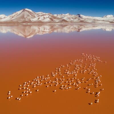 3-Days Tour to the Uyuni Salt Flat and Colored Lagoons +Sunset+Mirror Effect