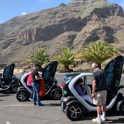 4-Hour Eco Mountain Safari Tour with Electric Car in Tenerife