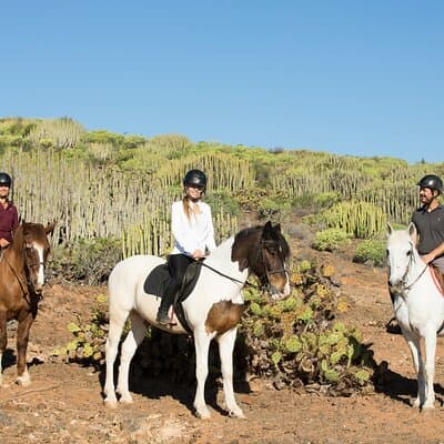 The Best Horse Riding Experience in Gran Canaria (2 hours)