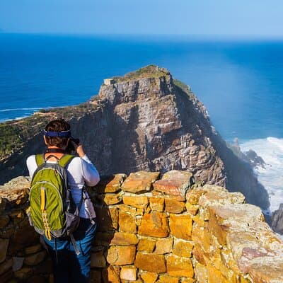 All-Inclusive Private Tour: Table Mountain, Cape Point & Penguins