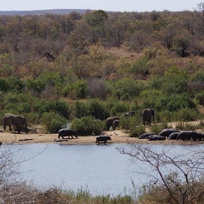 Economic 1-Day Kruger Safari from Maputo