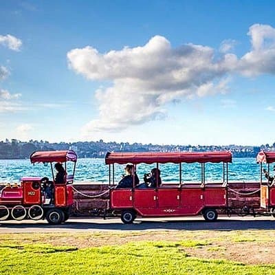 Explore Sydney's Botanic Gardens In a Series of Fun Cryptic Clues