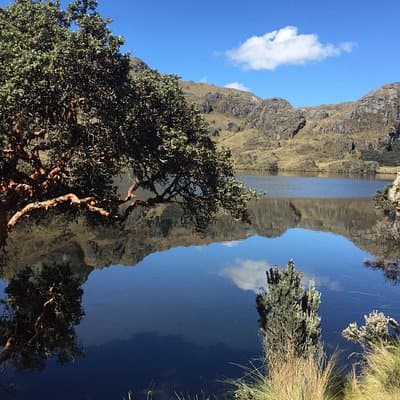 Cajas National Park Small-Group tour from Cuenca