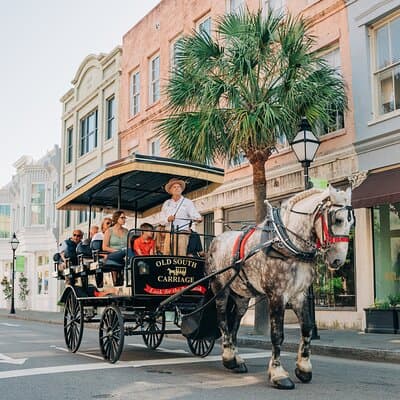 Visite historique à cheval et en calèche du Vieux-Sud de Charleston