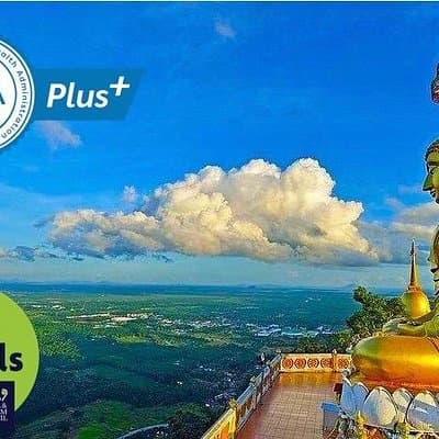 Discover 7 heaven, Tiger Cave & Famous Reclining Buddha at Small Group City Tour