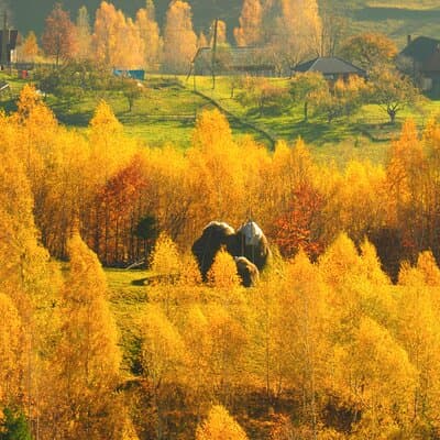 Small-Group Mountain Villages Walk & Local Lunch from Brasov
